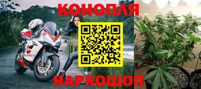 mdpv Лесосибирск