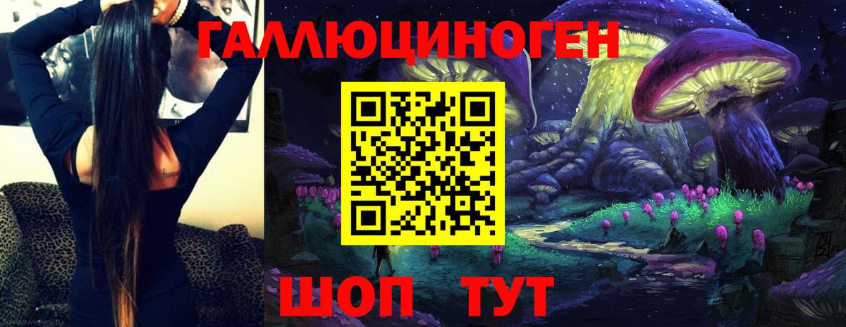 Псилоцибиновые грибы Psilocybine cubensis  Вход с VPN  Гусев 